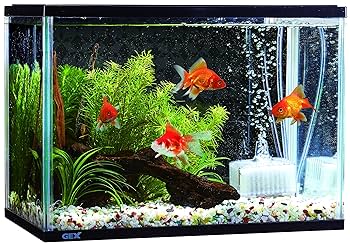 水槽　セット　一式　金魚　計9点 金魚 水槽」の人気商品一覧 | 安い商品を通販サイトから探す